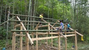 Brothers Villagers come to help build a wooden house, building farm / Hoa Thiên Lý Build Life