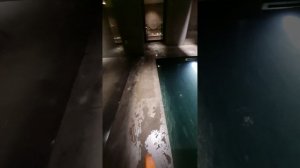 водный комплекс Акватория г. Владивосток