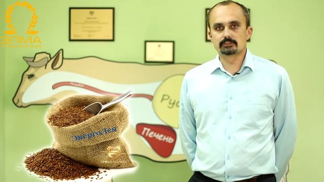 Кисты яичников у коров смотреть онлайн