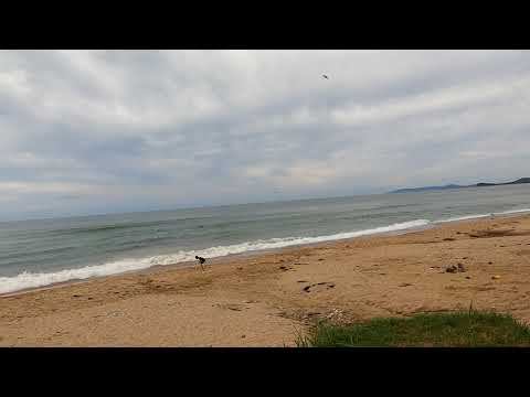 Поселок Южно-Морской. Приморский Край 2022