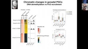 Reprogramming and plasticity of epigenetic regulation