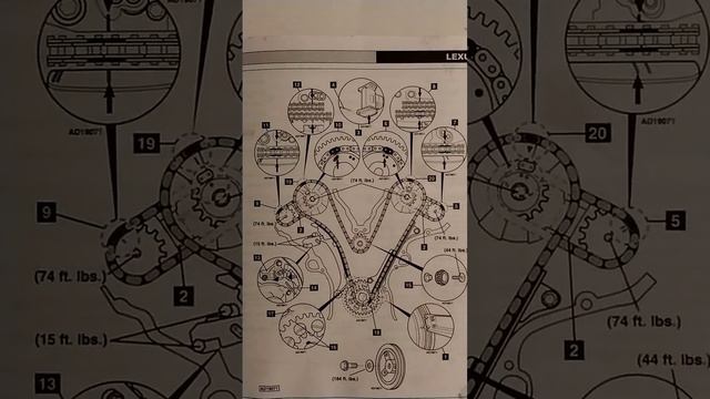 timing chain diagram Lexus,3.5L-Is250-Rx350-Rx450-Ex350-Gx350