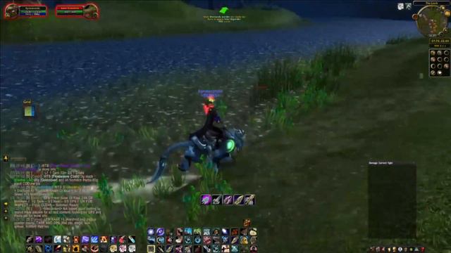 For Beginner Pet WOW - Large Loch Crocolisk смотреть онлайн