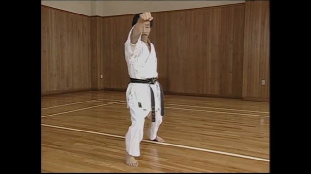 Дзёсинмон Сёрин-рю каратэ-до. Ананку но ката. смотреть онлайн