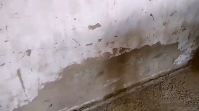 #ЕЙСК, #ДАЧИ ? продолжаю затирать стены. Квашеные овощи. Кукурузы мало. Ну и конечно, на лимане! смотреть онлайн