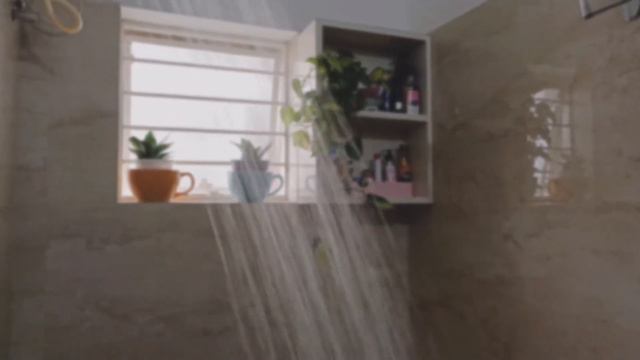 a day in my life| syngonium infestation in soil | fertilizer | watering plants смотреть онлайн