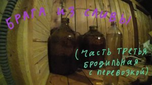 Брага из слив. Часть третья.