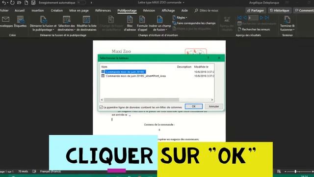 Réaliser un Publipostage sur Excel et Word. смотреть онлайн