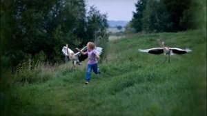 Журавленок - Э.Колмановский И.Шаферан