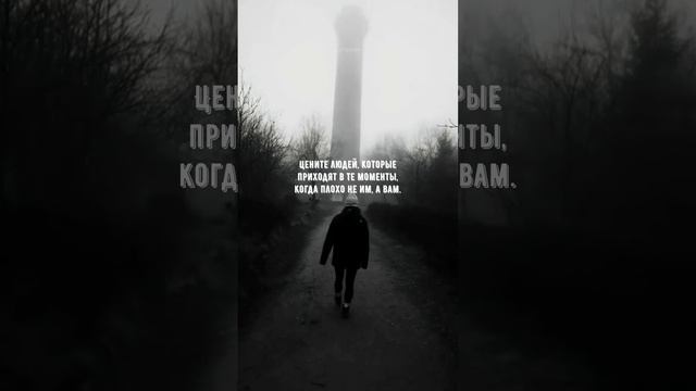 #550 Цитата дня. Мотивация.