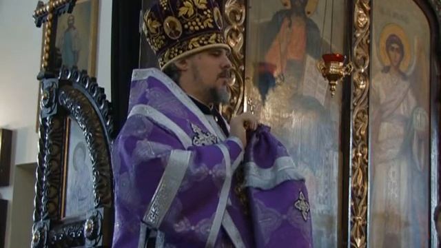 Юбилей епархии смотреть онлайн