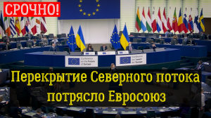 Перекрытие Северного потока потрясло Евросоюз. Последние новости сегодня