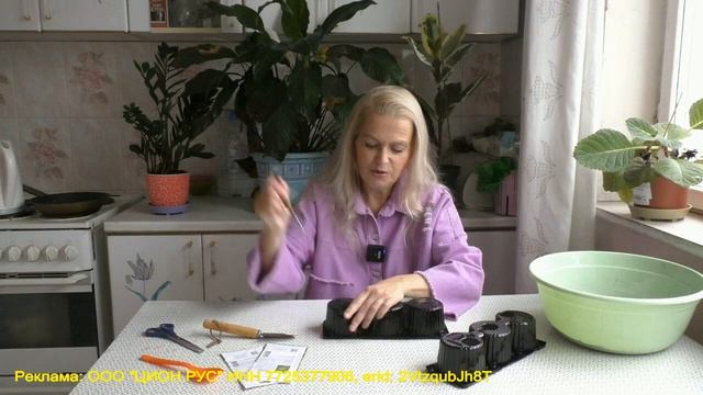 Выращиваем зелень дома