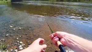 НАХЛЫСТ: ЛОВЛЯ БЕЛОЙ РЫБЫ НА МУШКУ | Fly Fishing for Coarse Fish