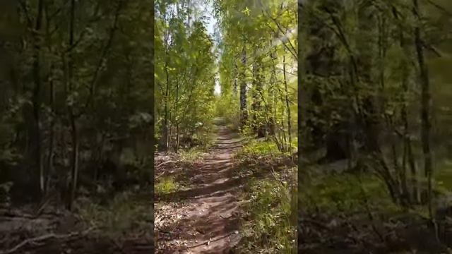 Отзыв о комплексе ритуалов «Помощь по Роду» смотреть онлайн