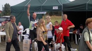 International Polish Lure Coursing Championship-rewarding whippet female Ellis Heylari