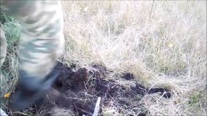 КОП с металлоискателем АСЕ 250