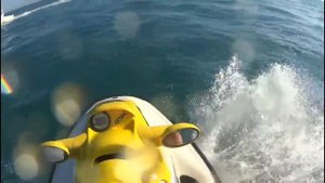 Sea doo 5549/gsx/rfi Inter 2001 rotax 781cc