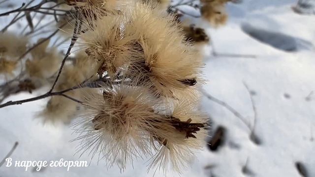 Срочно уберите это с кровати, навлечёте беды и нищету. смотреть онлайн