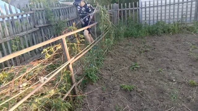 Пришла посмотреть как у Володи дела . смотреть онлайн