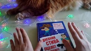 ОБЗОР КНИГИ ДНЕВНИК СТИВА №4!!!