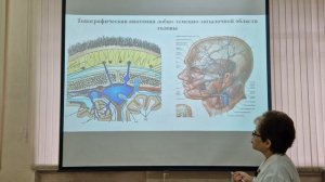 Топографическая анатомия головы