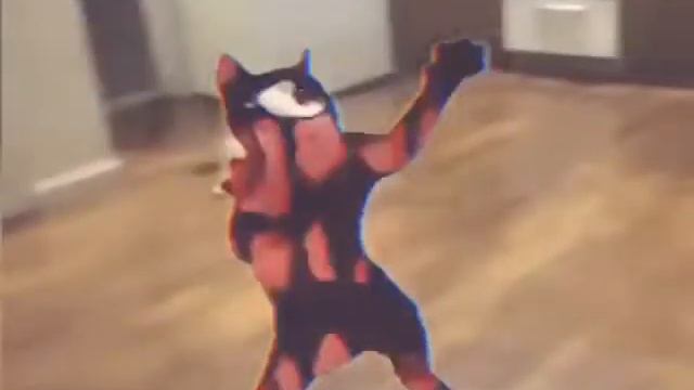 Кит ты маму мав мем juke edit смотреть онлайн