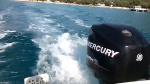 Mercury Optimax 115 hp