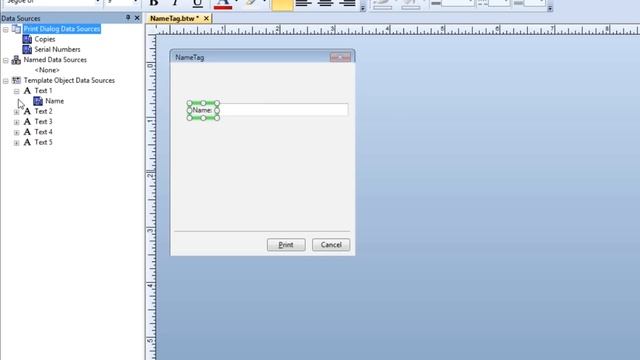 Data Entry Forms in BarTender Software: Designing a Data Entry Form (Tutorial)