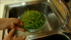 Салаты Рукола Rucola Arugula