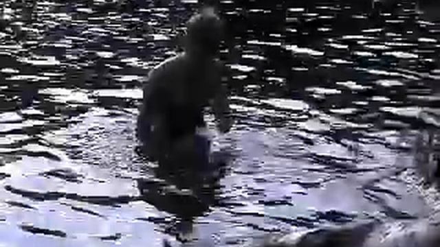 Ястребиное