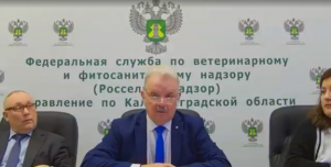 Публичные обсуждения  Управления Россельхознадзора по Калининградской области в 1 кв 2023 года