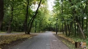 Сын бизнесмена оскорбил старую гадалку… То, что случилось потом, заставило всех вздрогнуть...