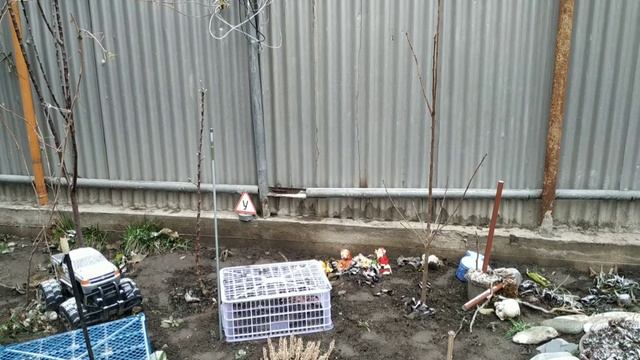 # влог 5 😂ЗИМА обходит Ростов🤣 стороной смотреть онлайн