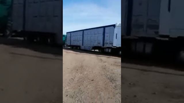 Оптовые Продажи КРС на Экспорт из России.Загрузка скота на Узбекистан 💪🔥🇷🇺
