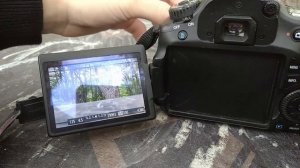 Как быстро научиться фотографировать на фотоаппарат?