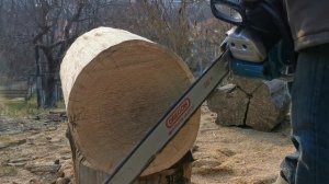 Makita DCS 6401 (4.8HP, 64cc) "vs" Makita EA 5000p (3.9HP, 50cc) - very hard wood