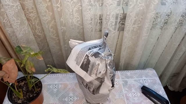 Как перевезти растение зимой, чтобы оно не замёрзло? смотреть онлайн