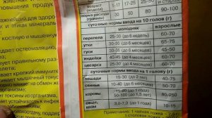 Почему куры несут яйца без скорлупы?