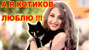 Видео с юмором. Смешные моменты с кошками и собаками. А я котиков люблю!!!