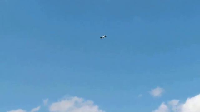 Gaui 330X in Phoenix-RC смотреть онлайн