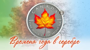 Канадский кленовый лист. Яркие образы