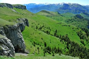 кубаньГринПродукт с заботой об экологии.mp4