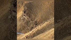 Кавказские туры в Шиназской долине, Рутулский район, Дагестан