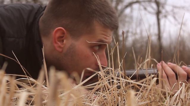 Gorilla VS Bear. Who Would Win? смотреть онлайн