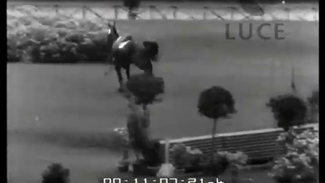 Cavalieri d'alta scuola смотреть онлайн