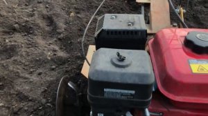 Второй оборот огурца . Выращивание огурцов в теплице