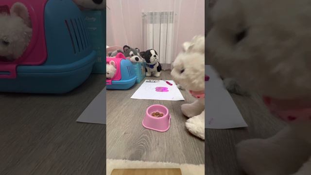 Школа котов урок этикета😇😘🐱🐶