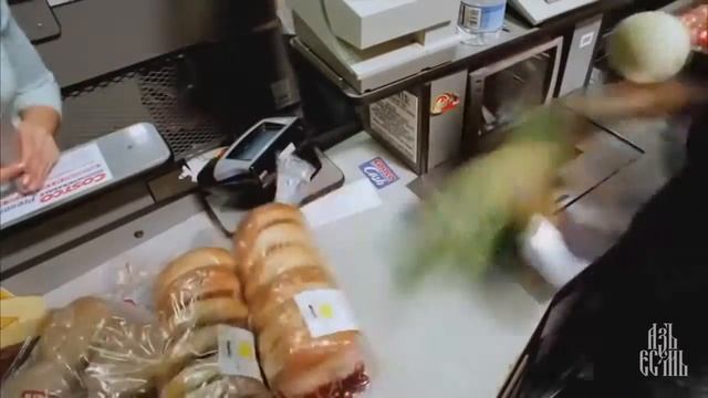 ВЕГАН 2016 смотреть онлайн