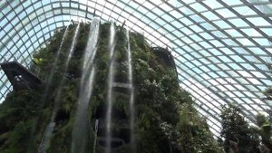 Сады у залива GARDENS BY THE BAY. Сингапур